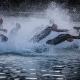 Schwimmer laufen beim Triathlon ins Wasser